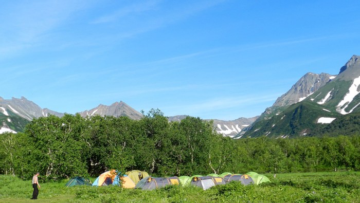 During the summer jia works as a camp