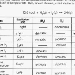 Le chatelier's principle worksheet answers