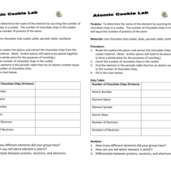 Chemistry cookie project chocolate chip answers