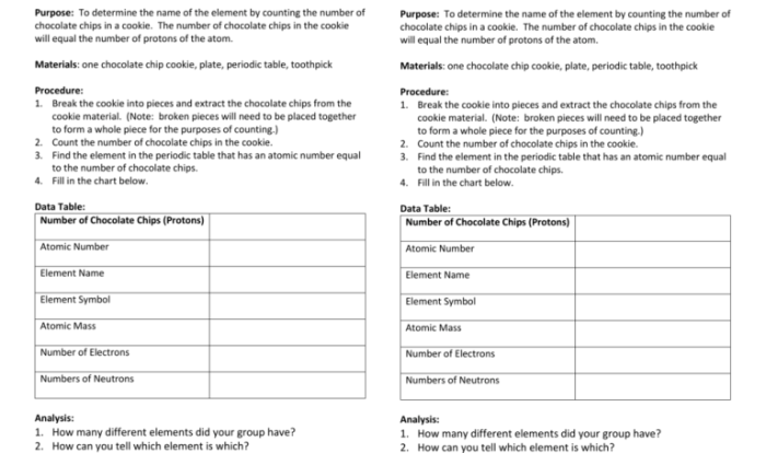 Chemistry cookie project chocolate chip answers