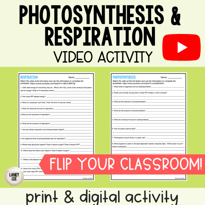 Photosynthesis vs respiration worksheet answer key